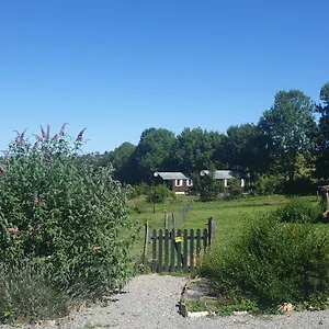 Les De L'essentiel Lacaze